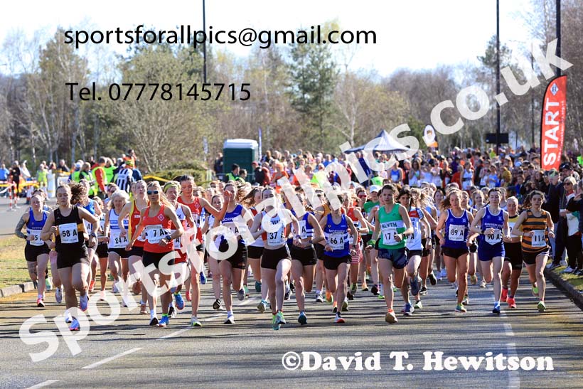 Senior womens 2024 Elswick Harriers Good Friday Relays, Newburn, Newcastle Upon Tyne  Photo: David T. Hewitson/Sports for All Pics